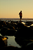 A female  walks along the ocean shore at sunset during low tide on the Baja Peninsula Mexico., Baja, Mexico