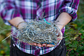 Young woman holding a birds nest., Moab, Utah, USA