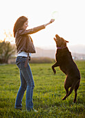 Caucasian woman playing with dog in field, Lehi, Utah, USA