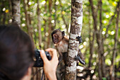 Hispanic woman taking photograph of monkey in jungle, Ko Lanta, Krabi, Thailand