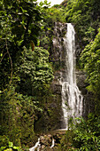 Remote waterfall in tropical rainforest, Hana, Hawaii, United States