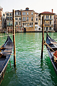 Gondolas moored in canal on wooden posts, Venice, Venezia, Italy
