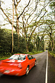 Red car driving down country lane, Pahoa, Hawaii, United States