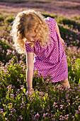 Caucasian girl picking flowers, Lehi, Utah, USA