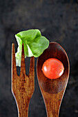 Wooden fork and spoon with lettuce and tomato, Santa Fe, New Mexico, USA