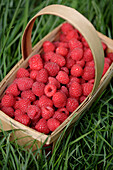 Fresh, red raspberries in basket, Santa Fe, New Mexico, USA