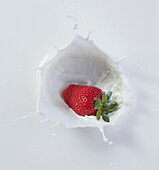 Strawberry dropping into milk, Omegna, Verbania, Italia