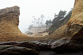 Rock formations on foggy coastline, Depot Bay, Oregon, USA