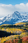 Snowy mountain and trees in rural landscape, Telluride, Colorado, USA