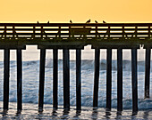 Pier by the Ocean at Sunrise, Cayucos, California, USA
