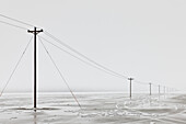 Telephone Poles in Bleak Winter Landscape, Salt Lake City, Utah, USA