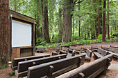 Open air theatre space in a clearing in Redwood National park, California, USA