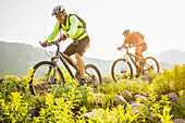 Caucasian men riding mountain bikes on trail, Alta, Utah, USA