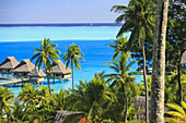Palm trees overlooking tropical resort, Bora Bora, French Polynesia, Bora Bora, Bora Bora, French Polynesia