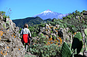 Hiking, Mount Teide in background, El Palmar, Tenerife, Canary Islands, Spain