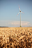 Wind wheels in grain field, Merklingen, Baden-Wuerttemberg, Germany