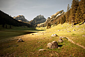 Hiking trail through Appenzellerland, Canton of Appenzell, Switzerland