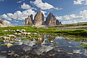 Tre Cime Di Lavaredo and reflection in a puddle, South Tyrol, Dolomites, Italy
