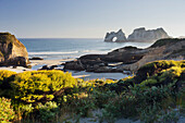 Archway Islands, Wharariki Beach, Tasman, Südinsel, Neuseeland