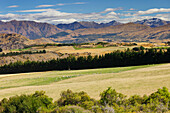 Landscape near Arrowtown, Otago, South Island, New Zealand