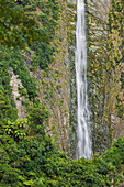 Humboldt Falls, Fiordland Nationalpark, Southland, Südinsel, Neuseeland