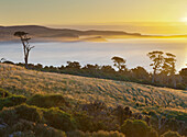 Tahakopa Bay, Papatowai, Catlins, Otago, South Island, New Zealand