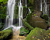 Purakanui Falls, Catlins, Otago, Südinsel, Neuseeland