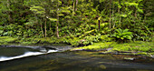 Catlins River, Southland, Südinsel, Neuseeland