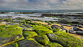 Waipapa coast, Catlins, Southland, South Island, New Zealand