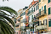 Celle Ligure, Province of Savona, Riviera di Ponente, Liguria, Italy