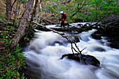 Hiker crossing a stream, Trekking Dientes de Navarino, Isla Navarino, Tierra del Fuego, Chile