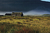 Houses in fog, bay of Rackwick, Orkney Islands, Scotland, Great Britain