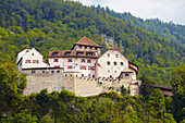 View of Vaduz castle, Alpenrhein, Rhine, Liechtenstein, Europe
