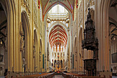 Inside the St. Johannes cathedral in 's-Hertogenbosch, Province of Nordbrabant, Netherlands, Europe