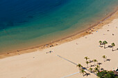 Strand mit Palmen, Playa de las Teresitas, bei San Andres, Teneriffa, Kanarische Inseln, Spanien, Europa
