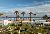 Ancient cementery with beach and palm trees in the background, Playa de las Teresitas, near San Andres, coast, Atlantic ocean, Tenerife, Canary Islands, Spain, Europe
