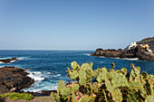 Feigenkakteen an einer Bucht, El Pris, Küstenort am Atlantik, Teneriffa, Kanarische Inseln, Spanien, Europa