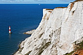 Chalk cliffs, Beachy Head, East Sussex, England, Great Britain