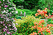 Minterne Gardens, Dorset, England, Grossbritannien