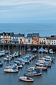 Ilfracombe harbour in the evening, Devon, Great Britain, England