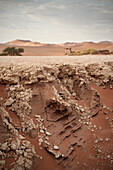 Detail ausgetockneter Erde im Dead Vlei, bei Sossusvlei, Namib Naukluft Park, Namibia, Namib Wüste, Afrika