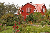 Garten und typisches Haus bei Borensberg, Schweden