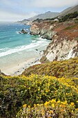 Looking north along the California Pacific Coast with spring wild flowers at Big Sur.