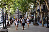 Passeig del Born, Born district, Ciutat Vella (Old Town), Barcelona, Spain
