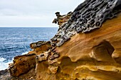 Jaizkibel, Geological formations, Cantabrian Sea, Gipuzkoa, Basque Country, Spain, Europe.