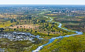 Okavango Delta, Botswana, Africa.