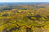 Okavango Delta, Botswana, Africa.