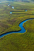 Okavango Delta, Botswana, Africa.