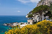 The Marina Piccola on the Island of Capri, Campania, Italy