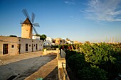 Jonquet Mills, Moli Den Garleta, Palma, Mallorca, Balearic Islands, Spain, europe.
